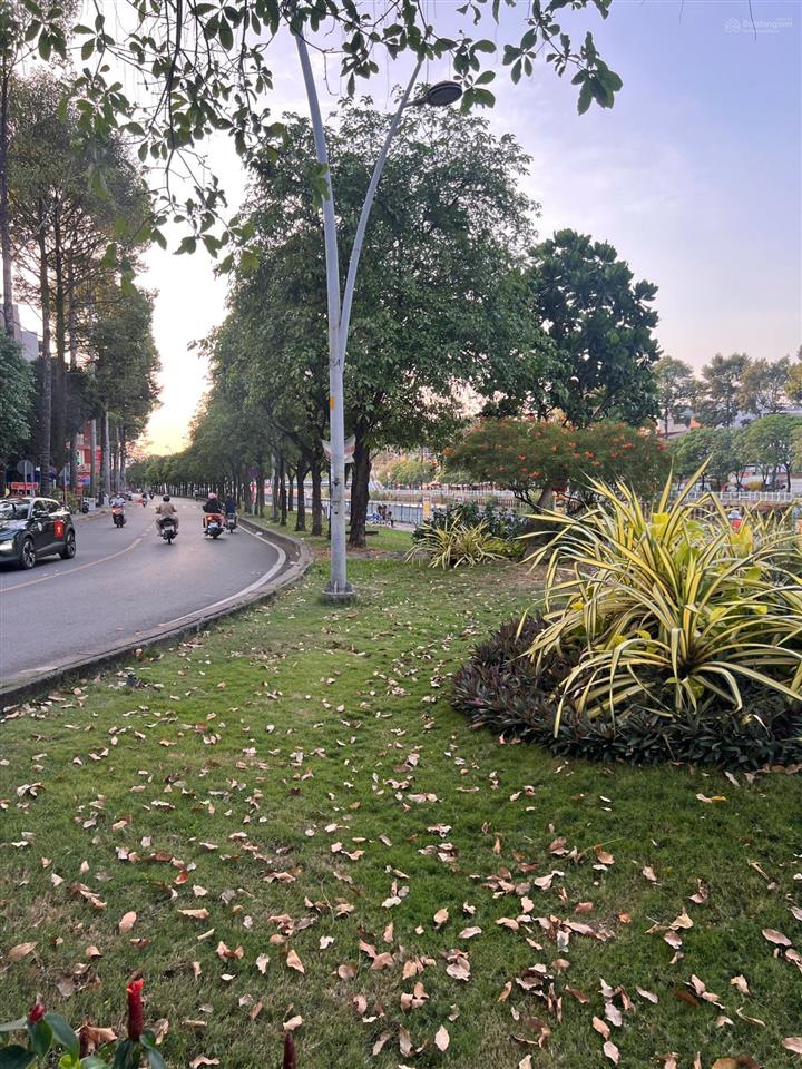 Căn hộ 50m2 trung tâm 1a1b nguyễn đình chiểu  tự do decor  chỉ 10 tr/tháng