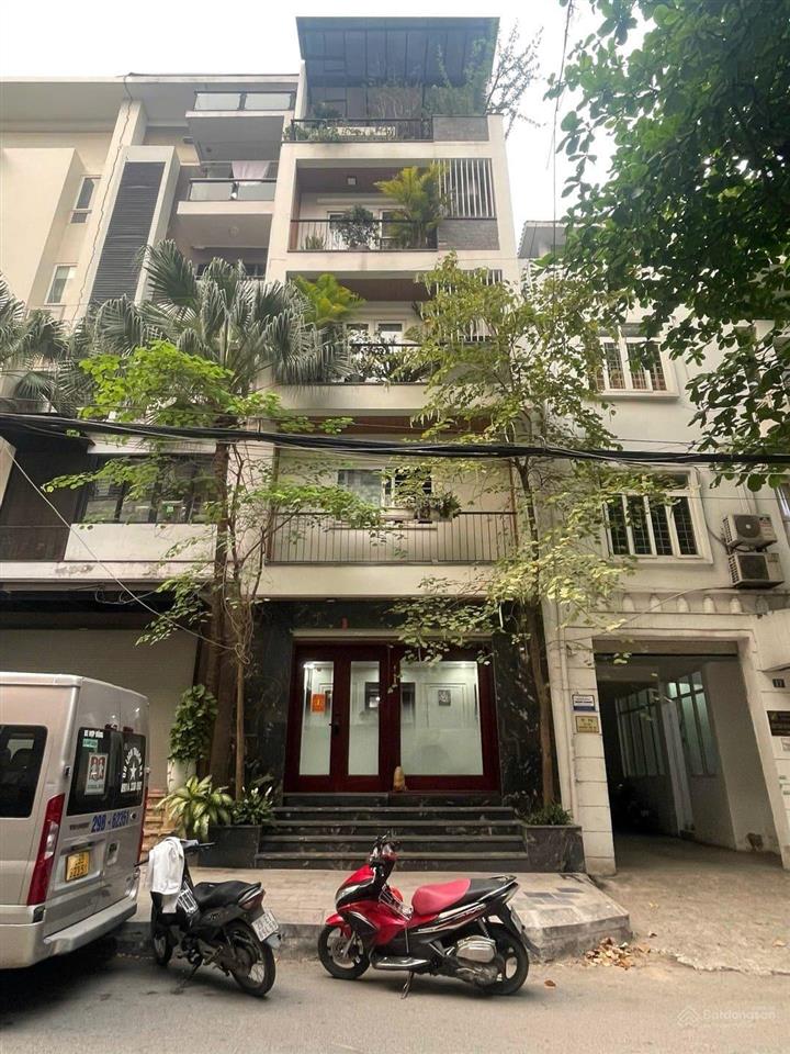 Nhà phân lô hoàng cầu ô tô tránh 77m 5 tầng phù hợp ở và làm vp