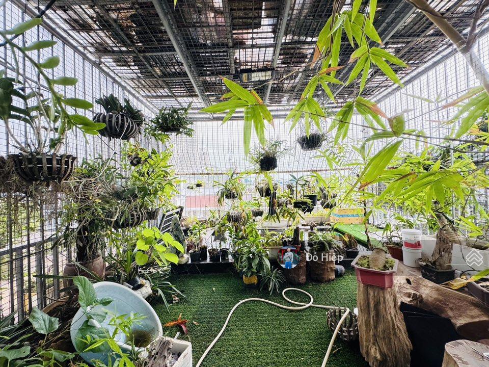 Giảm 2 tỷ nhà kđt linh đàm  vị trí đắc địa đẹp nhất khu