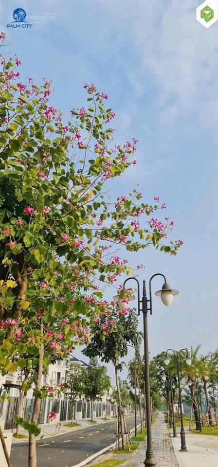 Bán gấp cắt lỗ nhà phố palm city  ngay nút giao cao tốc  vđ3  sổ hồng giá chỉ 11 tỷ