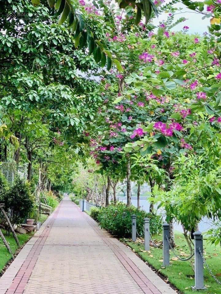 Biệt thự đơn lập view sông lakeview city, quận 2 | 165,2 triệu/m2