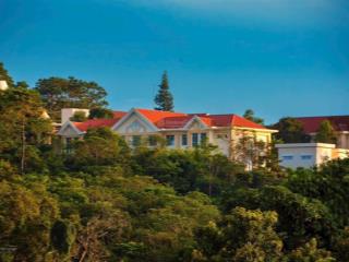 Bán đất 528m2 tại phan chu trinh, măng đen, quảng ngãi, giá siêu hời 13 tỷ