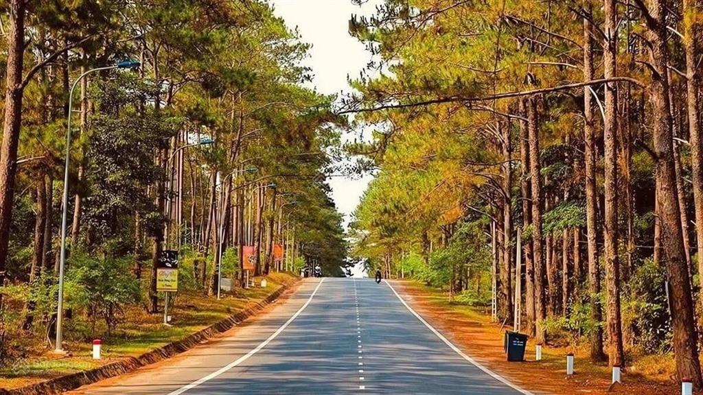 Bán nhà mặt phố 700m2 tại thị trấn măng đen, 40 tỷ, 13pn, 14wc, 3 tầng, đẹp xuất sắc hai mặt tiền