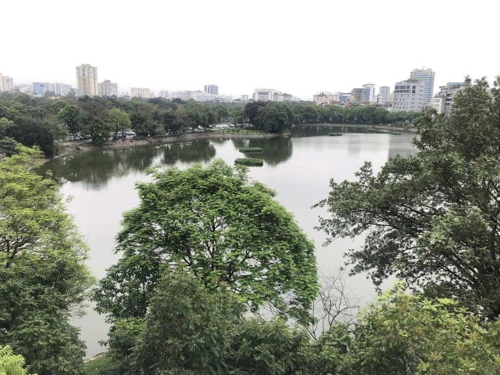 Mặt Hồ Ba Mẫu 82m2, 6T thang máy, MT4.6m lô góc view Hồ giá 44 tỷ hiếm Đống Đa 