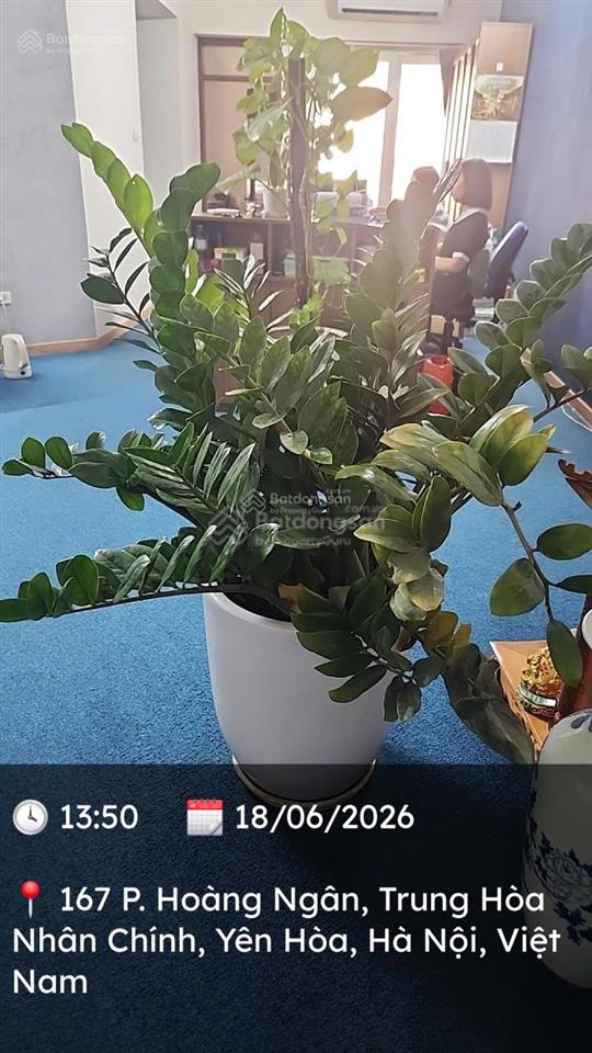 Em phương cần chuyển đổi bán căn góc 3n3vs tòa 34t hoàng đạo thúy, giá tốt 11 tỷ.  0988 982 ***