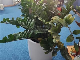 Em phương cần chuyển đổi bán căn góc 3n3vs tòa 34t hoàng đạo thúy, giá tốt 11 tỷ.  0988 982 ***
