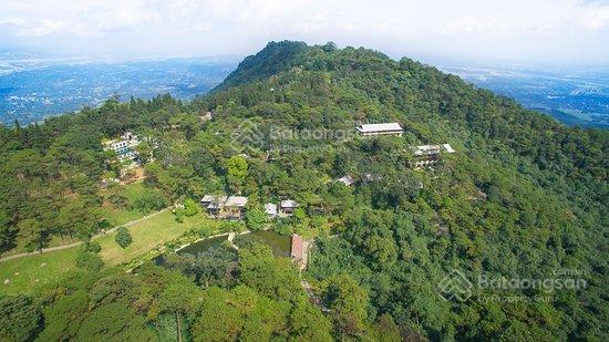 Bán đất làm homestay yên bài, 1650m cách bavilla moutain clouds & yênbài resort 200m.  0988 982 ***