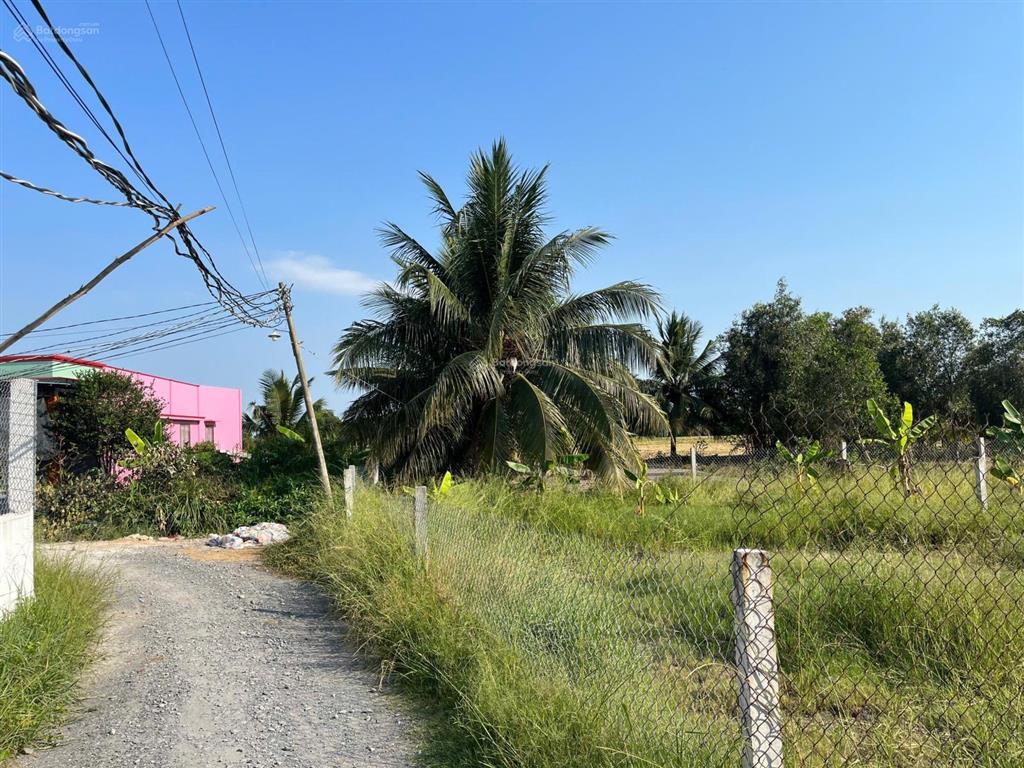 Bán đất tại nguyễn hữu trí, tân bửu, huyện bến lức, 1,7 tỷ, 200 m2