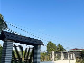 Bán đất tại nguyễn hữu trí, tân bửu, huyện bến lức, 1,7 tỷ, 200 m2