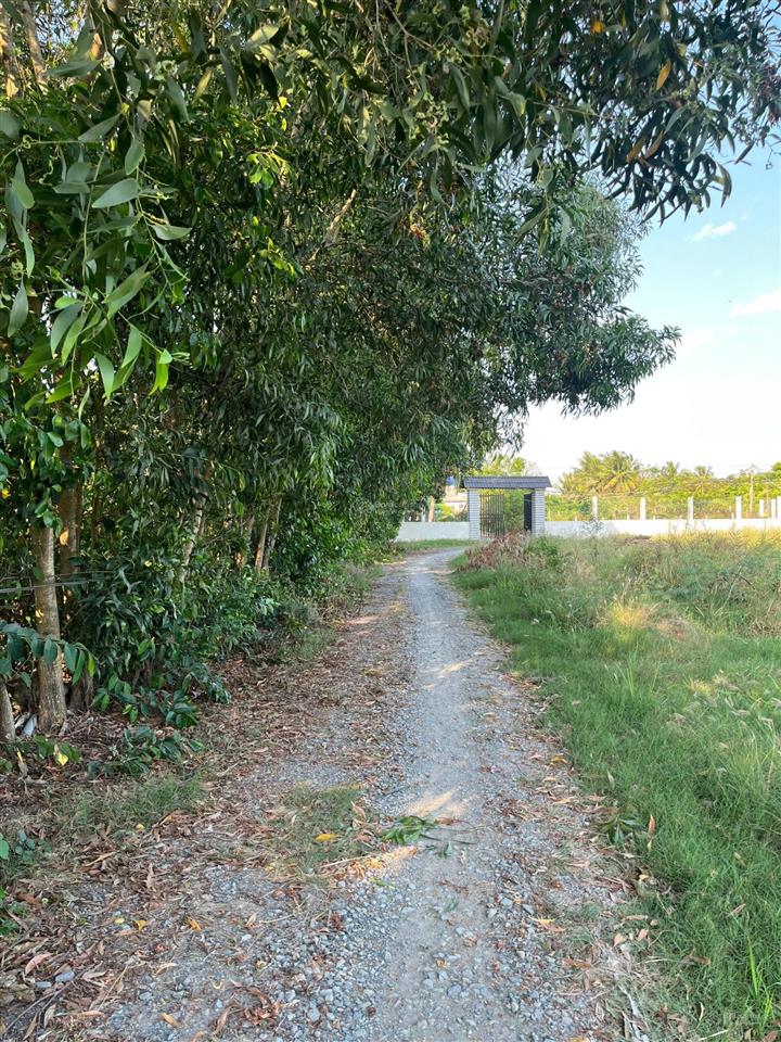 Bán đất tại nguyễn hữu trí, tân bửu, huyện bến lức, 1,7 tỷ, 200 m2