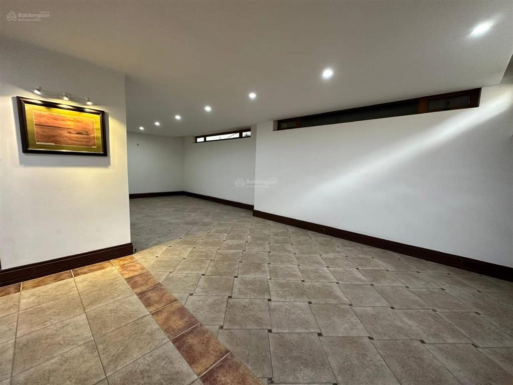 Biệt thự vườn đào  lô góc 3 thoáng  217m x 4 tầng  tầng hầm, gara  vỉa hè  giá 155 tỷ (tl)