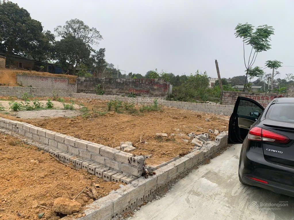 Chính chủ cần vốn bán gấp đất đẹp tại thôn đồi vua, xã sơn đông, tx. sơn tây, dt 128,5m2 full tc