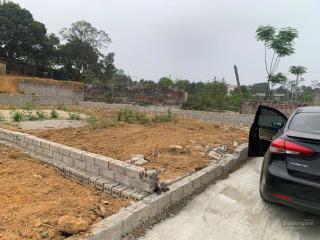 Chính chủ cần vốn bán gấp đất đẹp tại thôn đồi vua, xã sơn đông, tx. sơn tây, dt 128,5m2 full tc