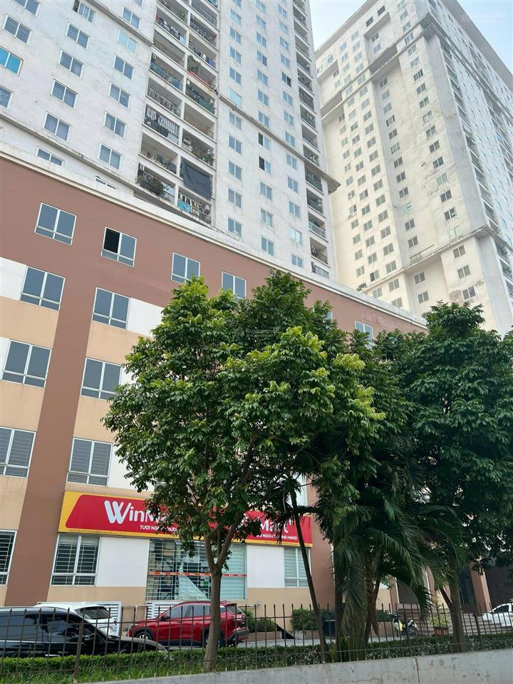Cho thuê nhà 3 tầng vị trí đẹp, đối diện chung cư tân việt đức thượng, hoài đức