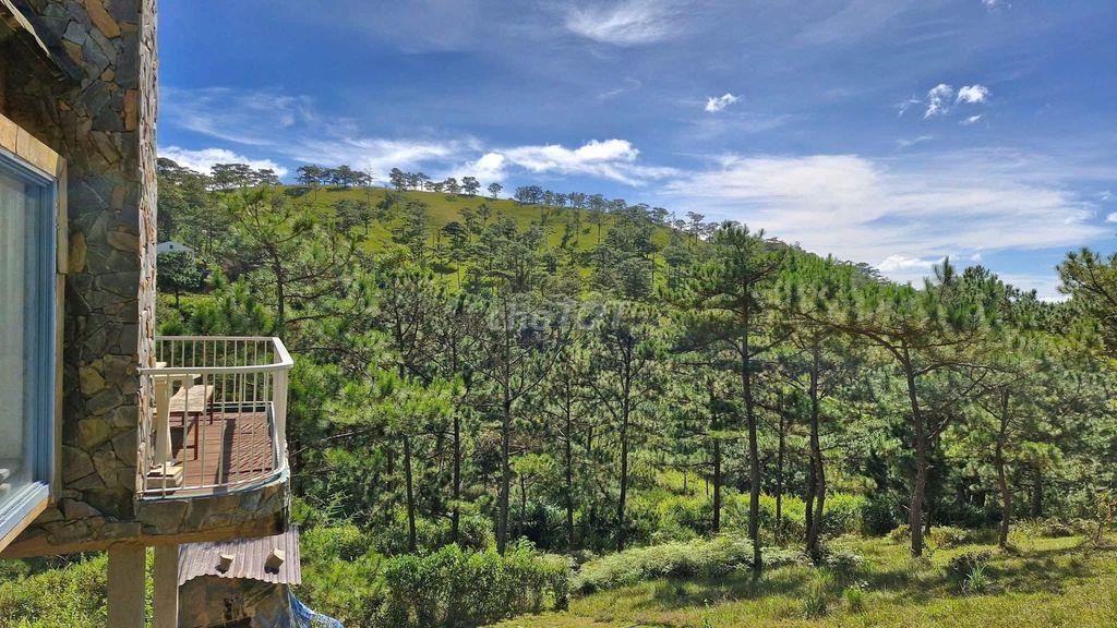 CHO THUÊ VILLA 3PN, PHONG CÁCH GỖ, VIEW RỪNG THÔNG - ANKROET ĐÀ LẠT