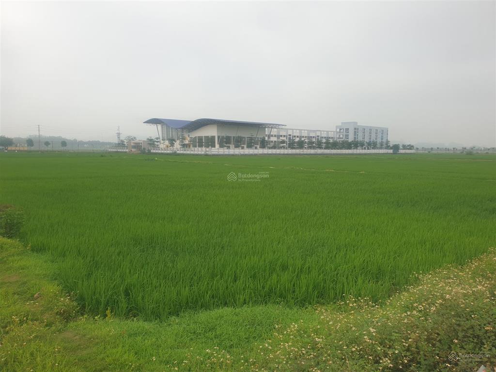 Đất "vàng" lô góc trục đường chính kinh doanh sầm uất bãi vạc, đại nghĩa 147m2 9.2m (giá thiện chí)