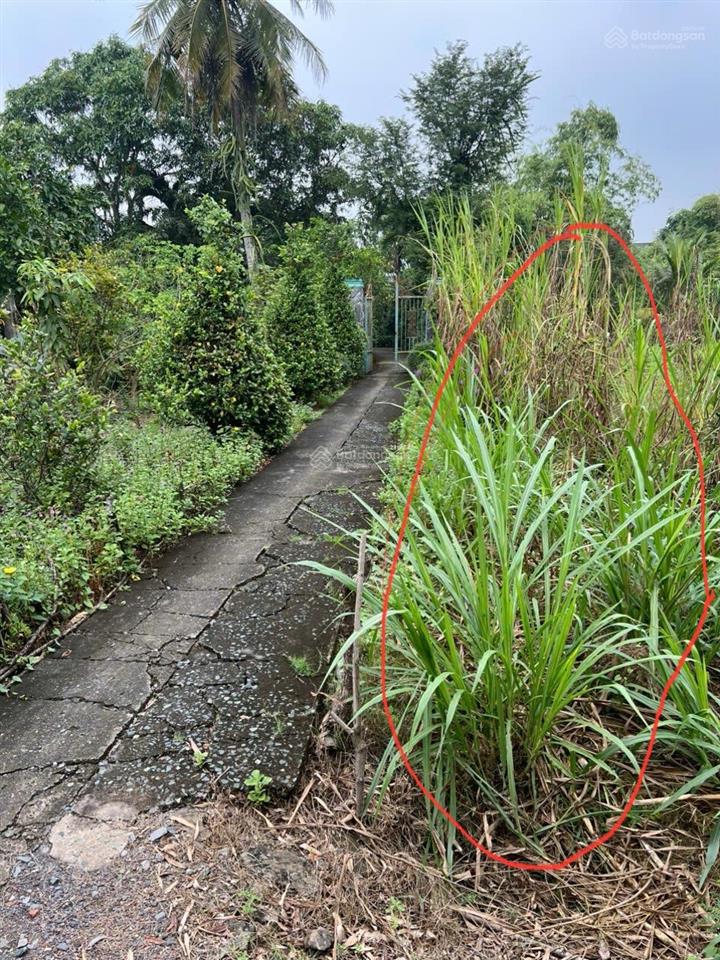 Bán đất 555 m2 tại ấp thanh ba, 2 tỷ vnd, view đẹp, nhiều tiện ích