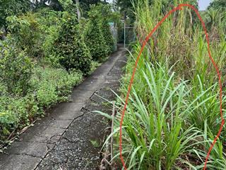 Bán đất 555 m2 tại ấp thanh ba, 2 tỷ vnd, view đẹp, nhiều tiện ích