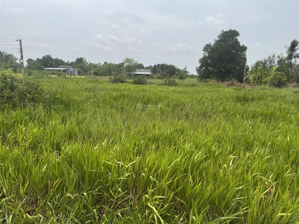 Bán đất 900m2 tại đt 832, tân bình, tân trụ, long an chỉ với 2 tỷ