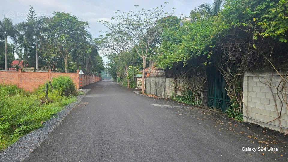 Bán đất tại xã nhuận đức, huyện củ chi, hồ chí minh, 5 tỷ, 1238 m2