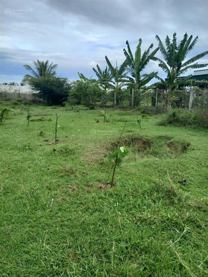 Bán đất đẹp tại khu phố 8, phước dân, ninh phước, 1 tỷ, 932 m2