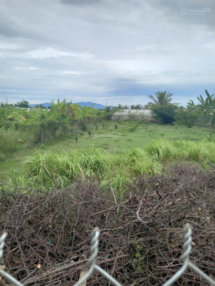 Bán đất đẹp tại khu phố 8, phước dân, ninh phước, 1 tỷ, 932 m2