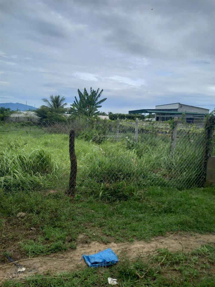 Bán đất đẹp tại khu phố 8, phước dân, ninh phước, 1 tỷ, 932 m2
