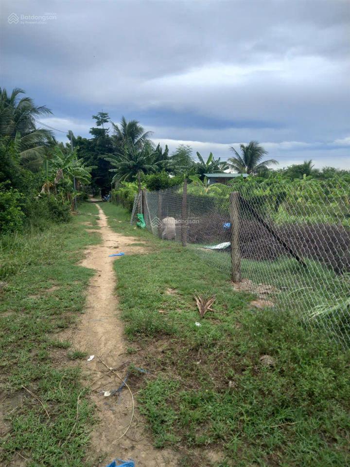 Bán đất đẹp tại khu phố 8, phước dân, ninh phước, 1 tỷ, 932 m2