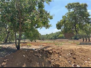 Đất đẹp xuất sắc tại xã phú trung, 770 triệu, 1000 m2