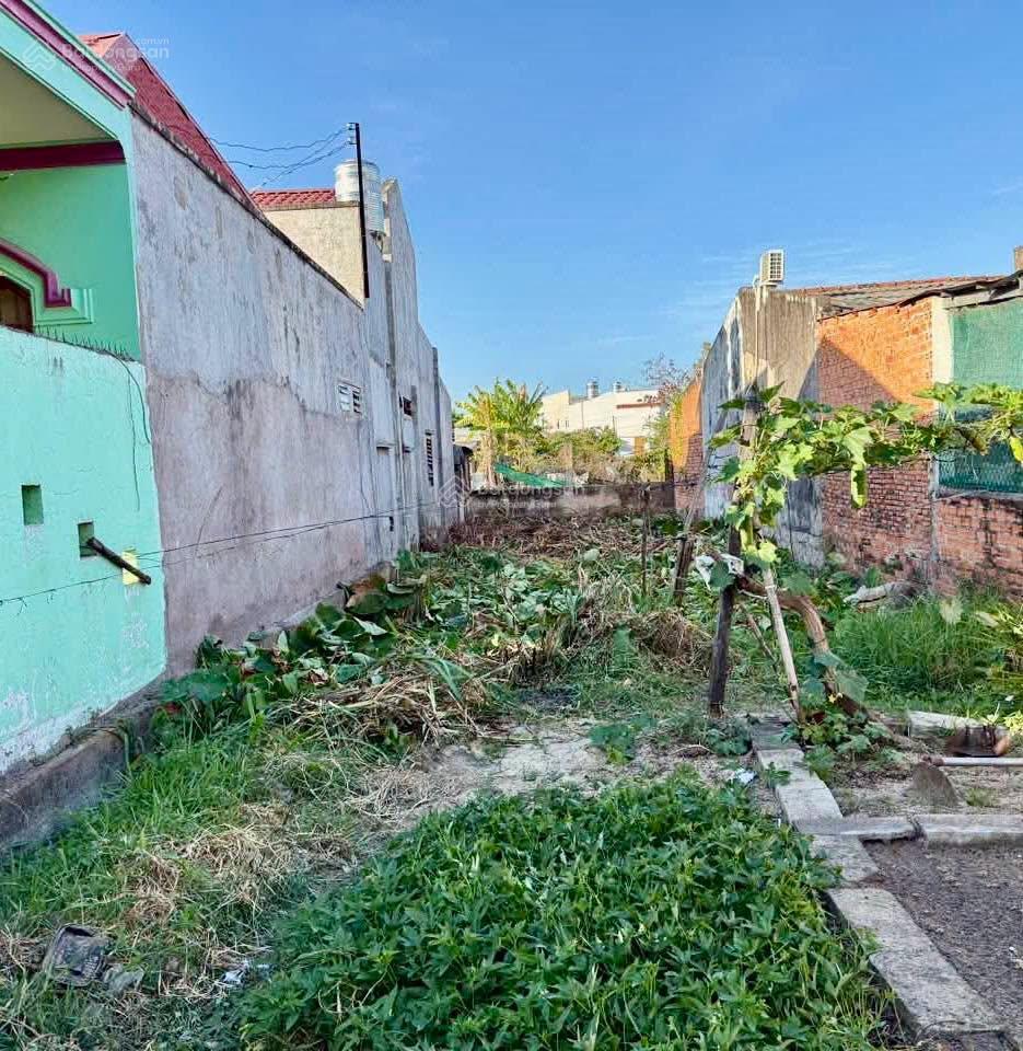 Bán đất phú thuỷ, phan thiết cũ, đường betong 5m, cách cảng biển phú hài chưa tới 2km
