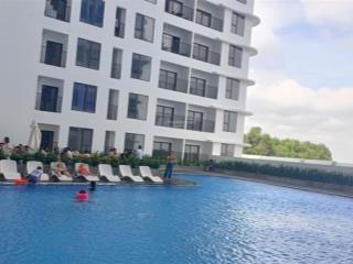 Bán căn hộ dòng tiền nhận nhà ngay tại hcm