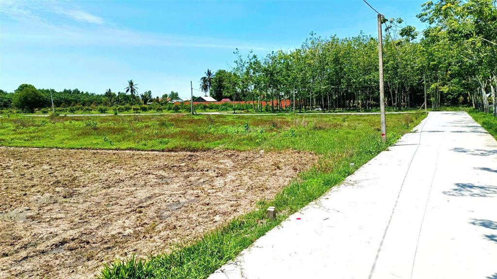 Cây da hiệp thạnh 143,4 m2 thổ cư đường bê tông, sổ sẵn chỉ 330tr