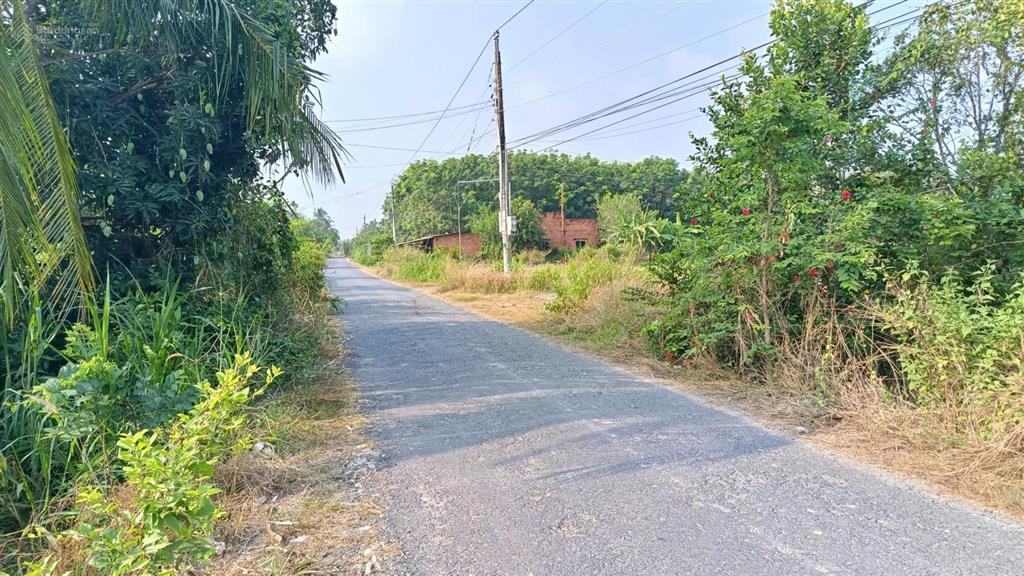 Mặt tiền nhựa cầy nêu phước thạnh tiện kinh doanh, buôn bán