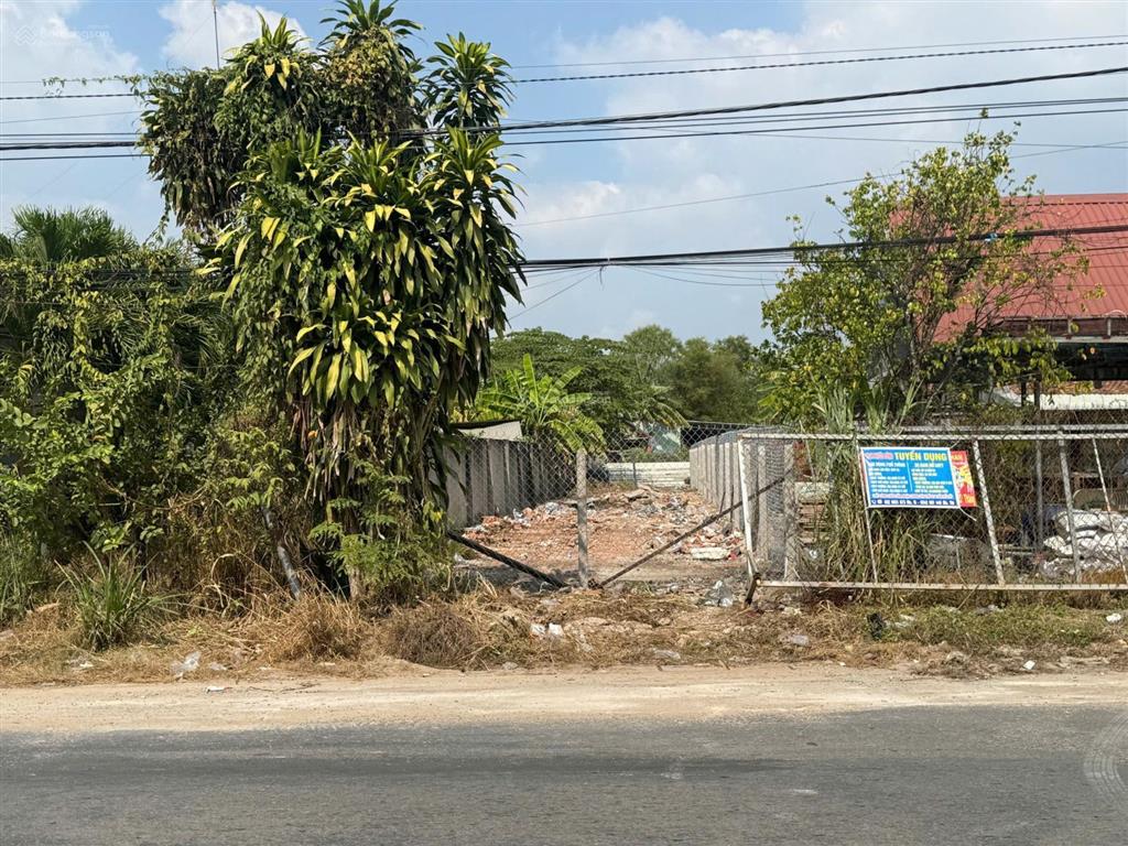 Mt nhựa nông trường tiện kinh doanh, buôn bán