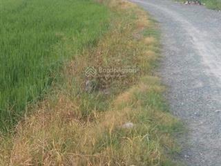 Bán đất tại xã trung lập thượng, củ chi, hồ chí minh, giá cực chất 7,3 tỷ, 1457m2