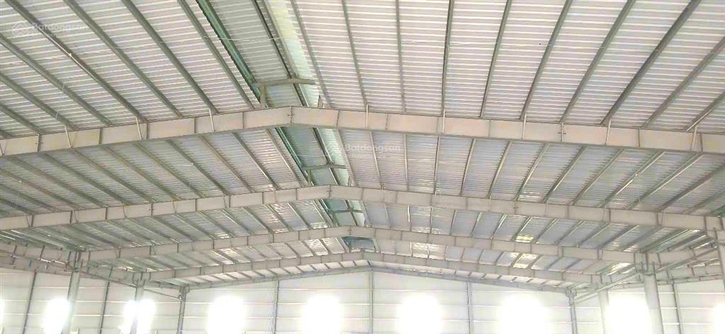Xưởng thuê lẻ cắt lẻ từ 2000m2, kế kcn lộc an bình sơn long thành, đồng nai
