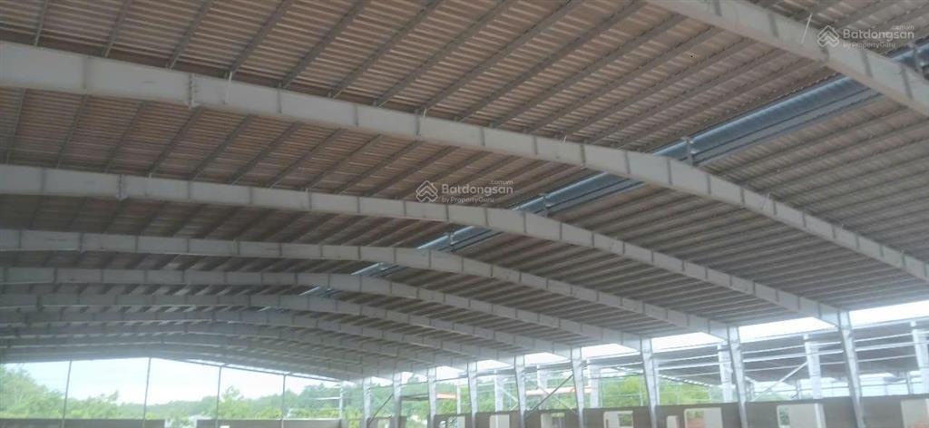 Dt 45.000m² nhà xưởng 25.000m2, lẻ từ 2000m2  2ha, riêng biệt, gần kcn bàu bàng, bàn giao sớm