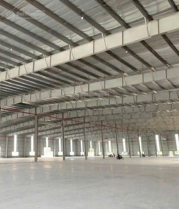 Dt 98.000m² nhà xưởng 5ha, cho thuê xưởng theo nhu cầu khách hàng đến 2ha kcn bàu bàng