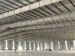 Dt 98.000m² nhà xưởng 5ha, cho thuê xưởng theo nhu cầu khách hàng đến 2ha kcn bàu bàng