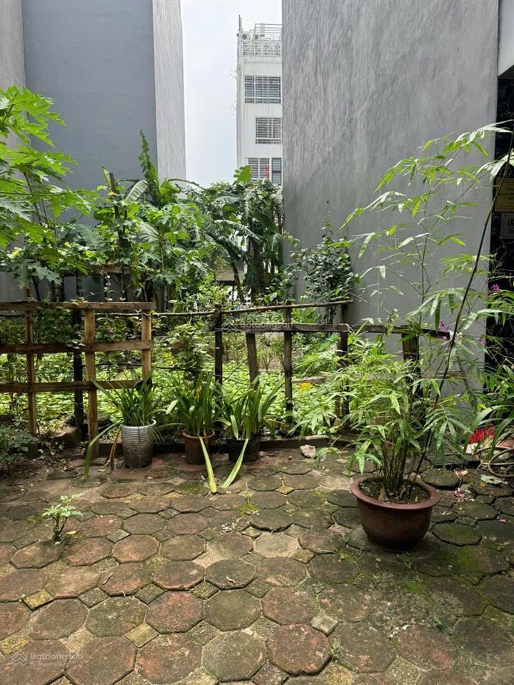 Bán đất tại dịch vụ đìa lão, 12,3 tỷ, 50m2, hot! uy tín
