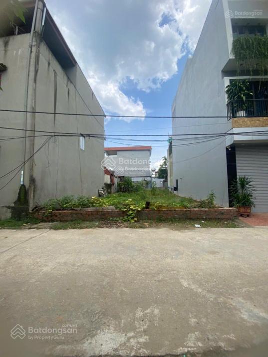Chính chủ bán đất xuân nộn, đông anh, hà nội, lô sát góc ngã tư đường lê hữu tựu