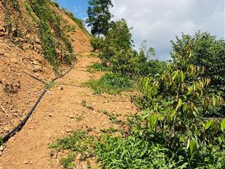 Chính chủ  bán nhanh mảnh vườn sầu riêng tâm huyết xã ba cụm bắc  khánh sơn