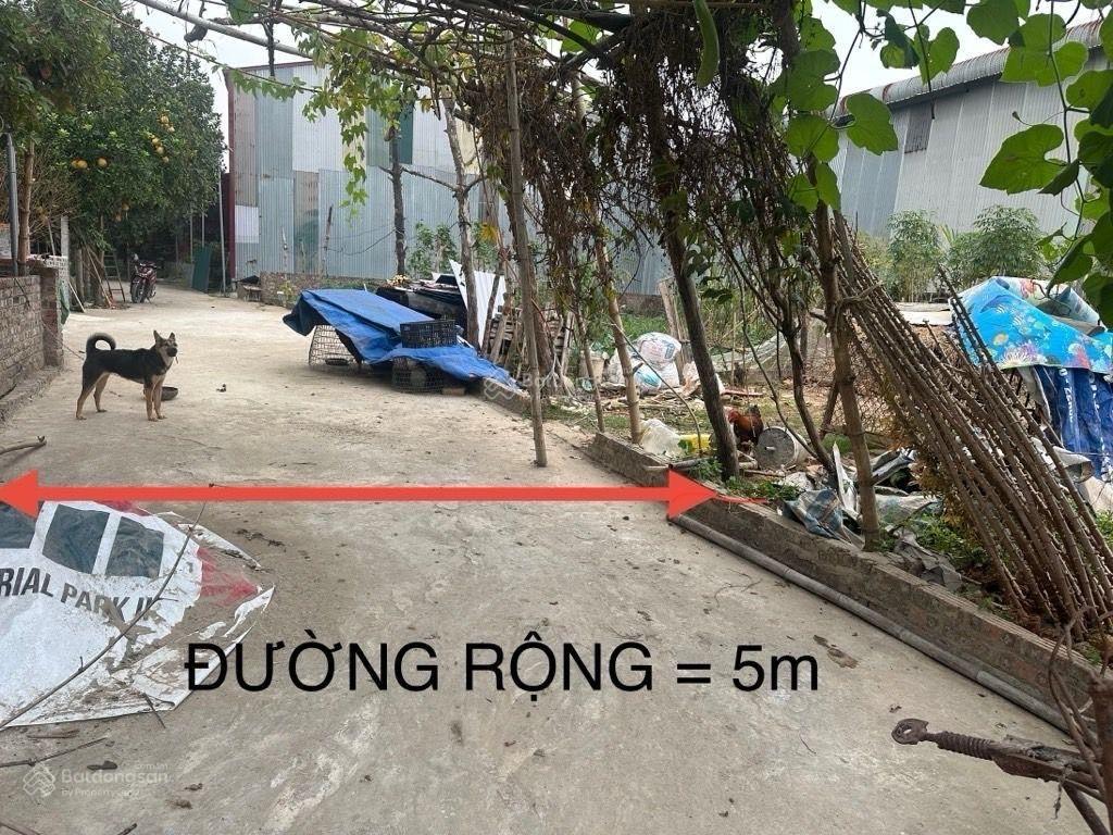 Đất xuân đồng tân minh sóc sơn ô tô 30 chỗ đỗ cửa 88m mt 5.8m nhỉnh 2 tỏi