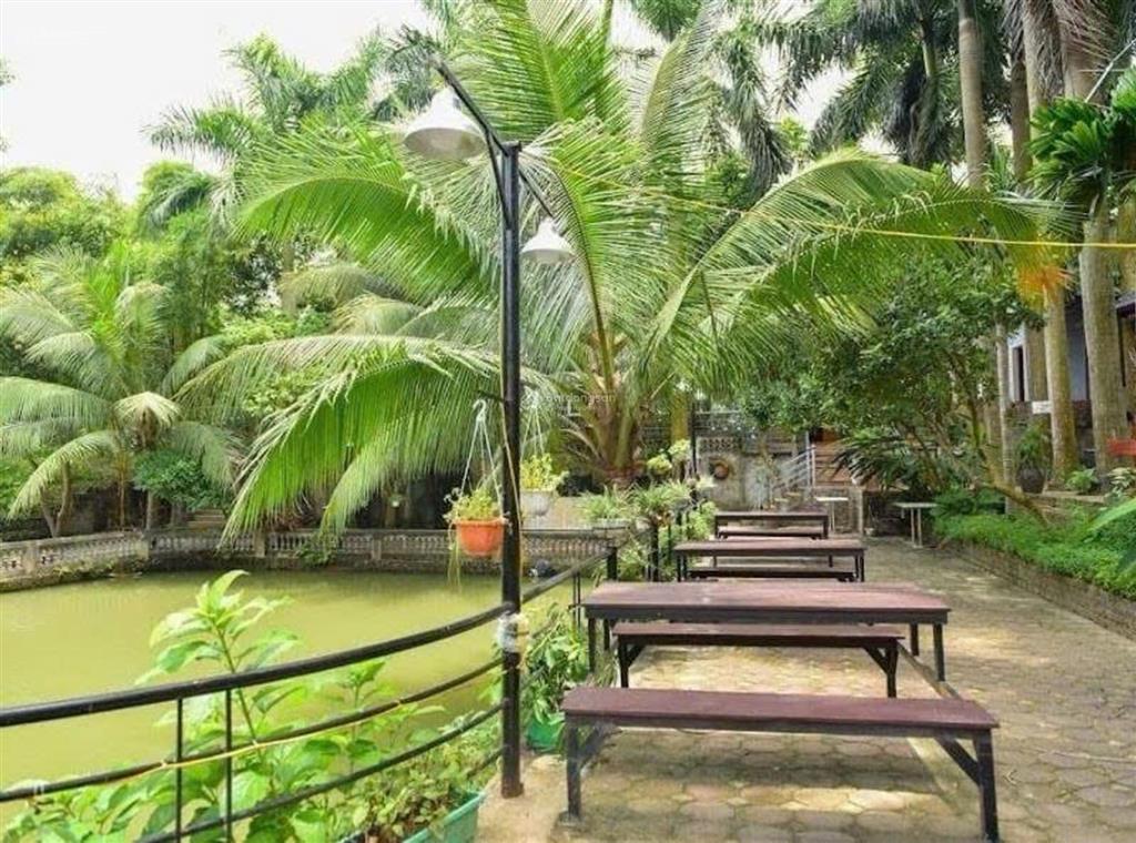 Nhà kinh doanh nhà hàng, sân vườn ao cá, mặt đường ql2 nội bài 8930m2, mặt tiền 200m 160 tỷ