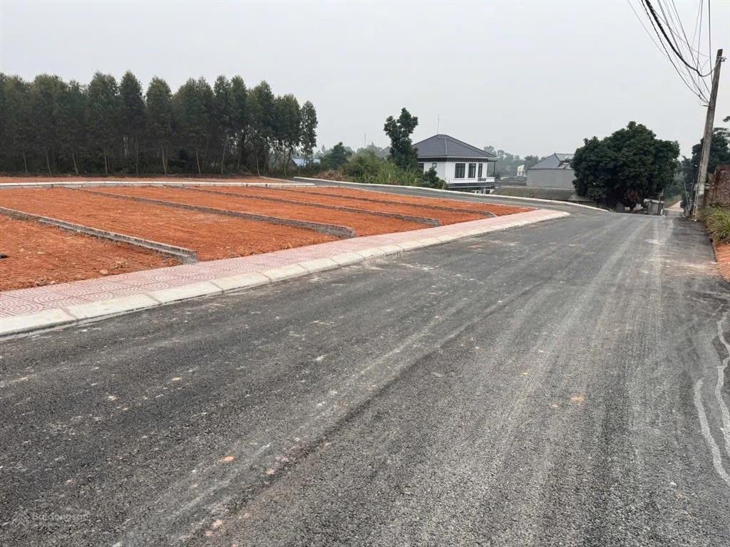 Cần bán gấp lô đất ngay cạnh khu công nghiệp tam dương.