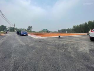 Cần bán gấp lô đất ngay cạnh khu công nghiệp tam dương.