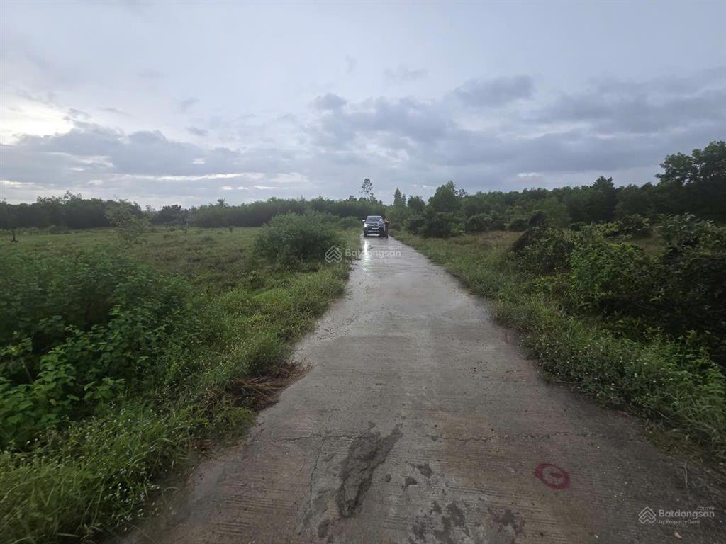 Bán lô đất đẹp tại tịnh thọ, huyện sơn tịnh cũ, giá 980 triệu, 150,5m2 đường giao thông thuận lợi