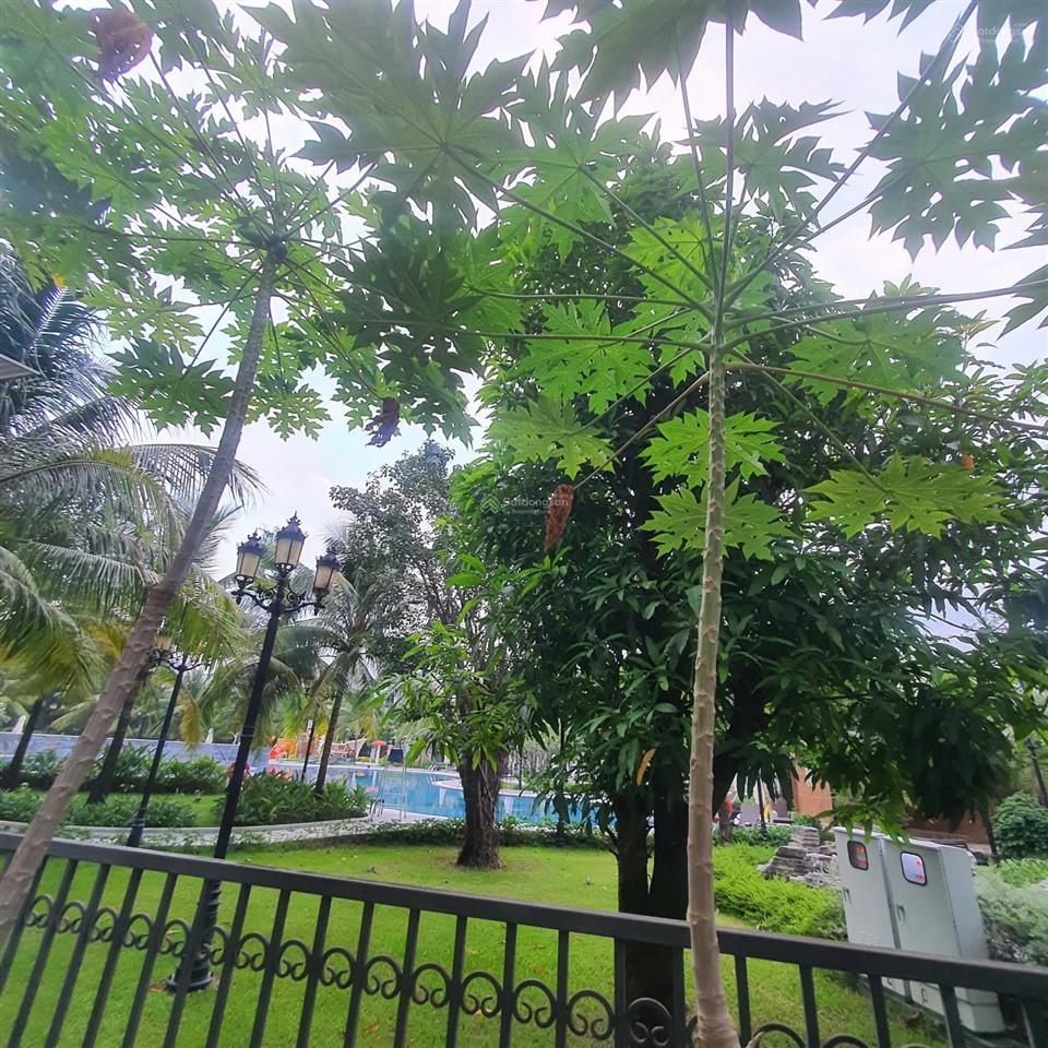 Đơn giá tốt nhất thị trường loại 162m2 trước mặt tiền sau công viên giá chỉ 26.5 tỷ btp tại vhgp q9