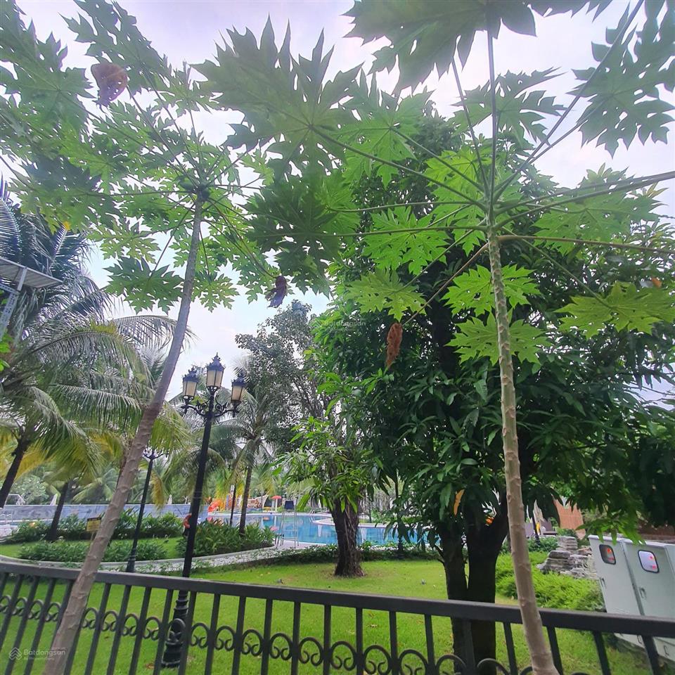 Đơn giá tốt nhất thị trường loại 162m2 trước mặt tiền sau công viên giá chỉ 26.5 tỷ btp tại vhgp q9