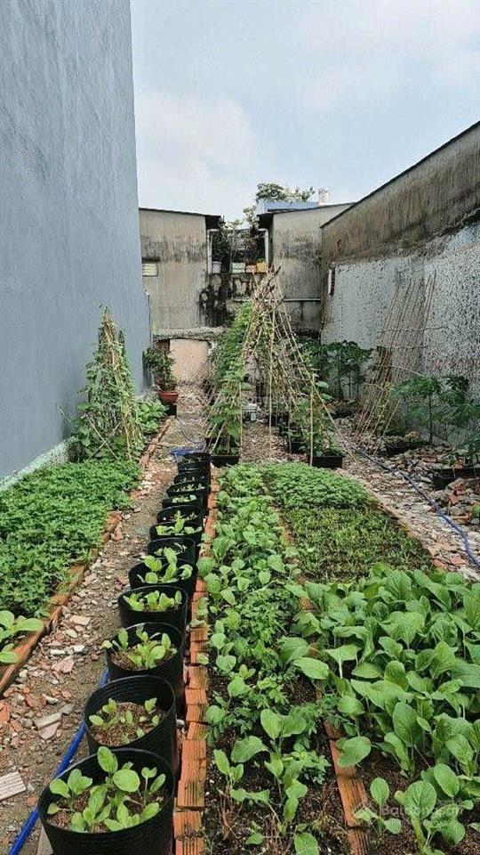 Bán lô đất 5x20m (100m2) hẻm oto đường lê trọng tấn